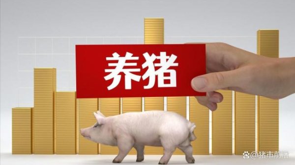 4月16日猪价：上涨承压，供应过剩压制市场