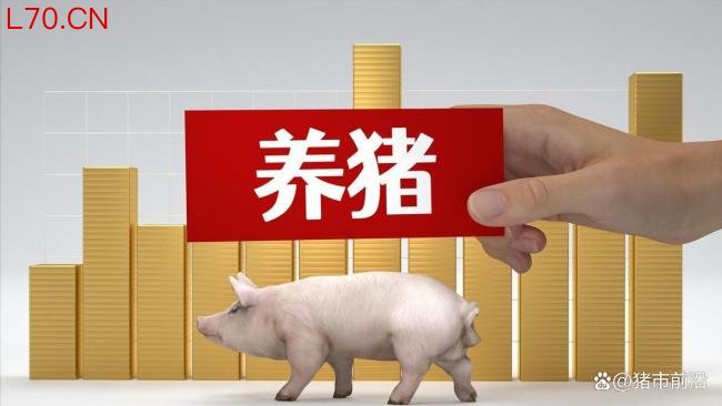 4月16日猪价：上涨承压