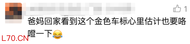 熊孩子掰坏迈巴赫车标 车主：无妨 30元网购车标引发热议
