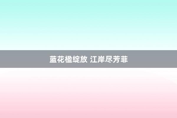蓝花楹绽放 江岸尽芳菲