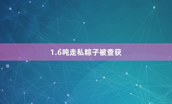 1.6吨走私粽子被查获