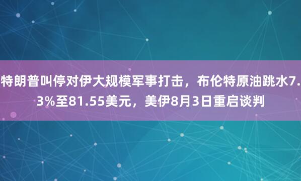 特朗普叫停对伊大规模军事打击,布伦特原油跳水7.3%至81.55美元,美伊8月3日重启谈判