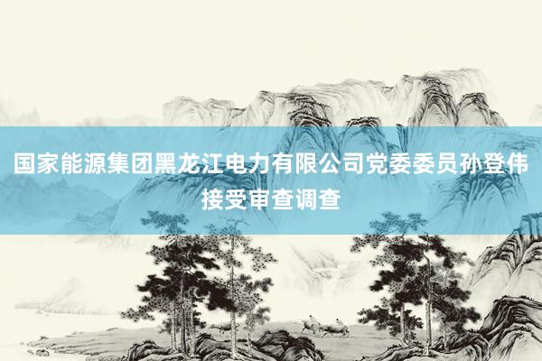 国家能源集团黑龙江电力有限公司党委委员孙登伟接受审查调查