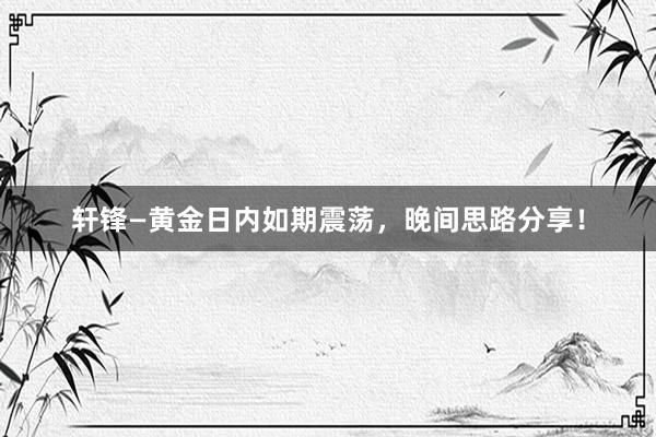 轩锋—黄金日内如期震荡，晚间思路分享！