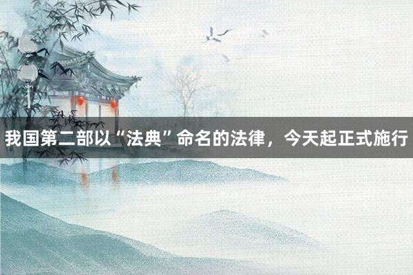 我国第二部以“法典”命名的法律，今天起正式施行