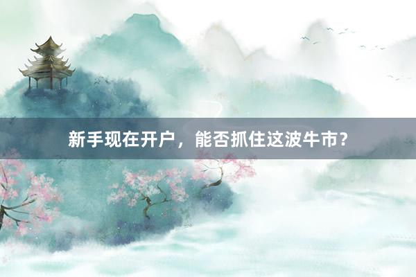新手现在开户，能否抓住这波牛市？