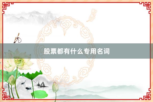 股票都有什么专用名词