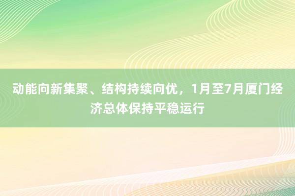 动能向新集聚、结构持续向优，1月至7月厦门经济总体保持平稳运行