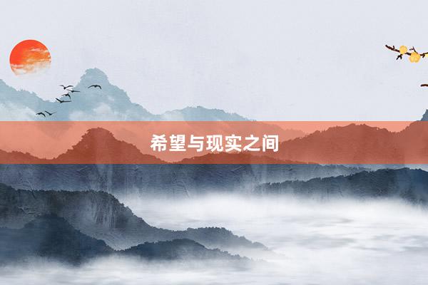 希望与现实之间