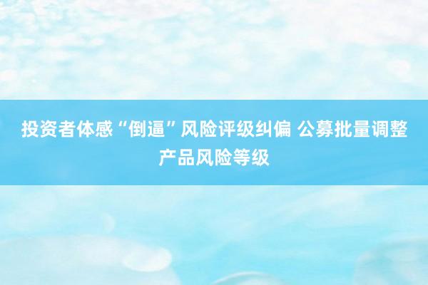 投资者体感“倒逼”风险评级纠偏 公募批量调整产品风险等级