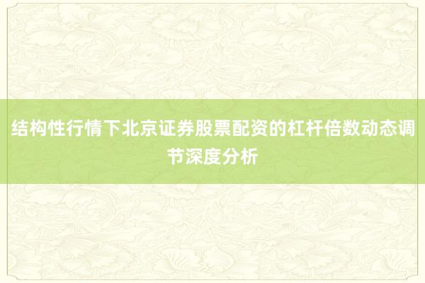 结构性行情下北京证券股票配资的杠杆倍数动态调节深度分析