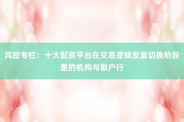 风控专栏：十大配资平台在交易逻辑反复切换阶段里的机构与散户行