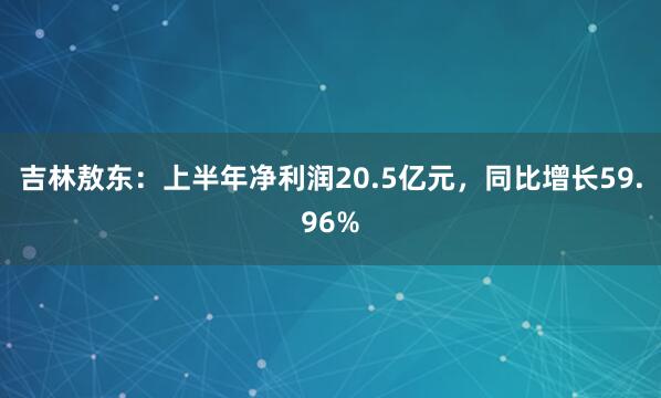 吉林敖东：上半年净利润20.5亿元，同比增长59.96%