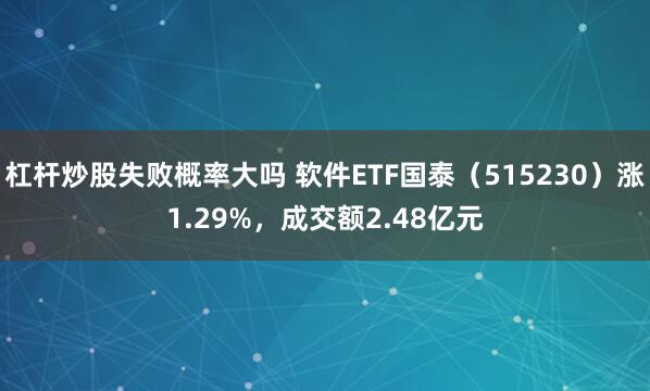 杠杆炒股失败概率大吗 软件ETF国泰（515230）涨1.29%，成交额2.48亿元