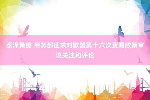 泰泽策略 商务部征求对欧盟第十六次贸易政策审议关注和评论