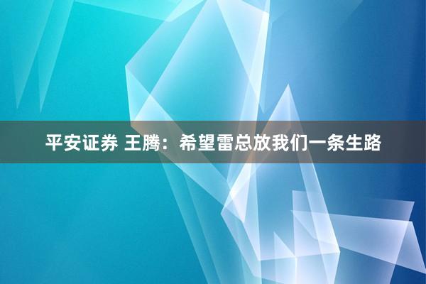 平安证券 王腾：希望雷总放我们一条生路